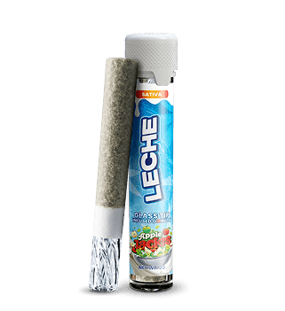 LECHE Apple Jacks infused pre-roll
